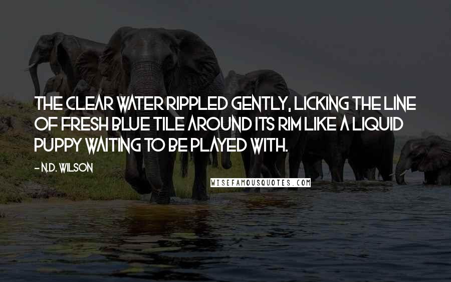 N.D. Wilson Quotes: The clear water rippled gently, licking the line of fresh blue tile around its rim like a liquid puppy waiting to be played with.