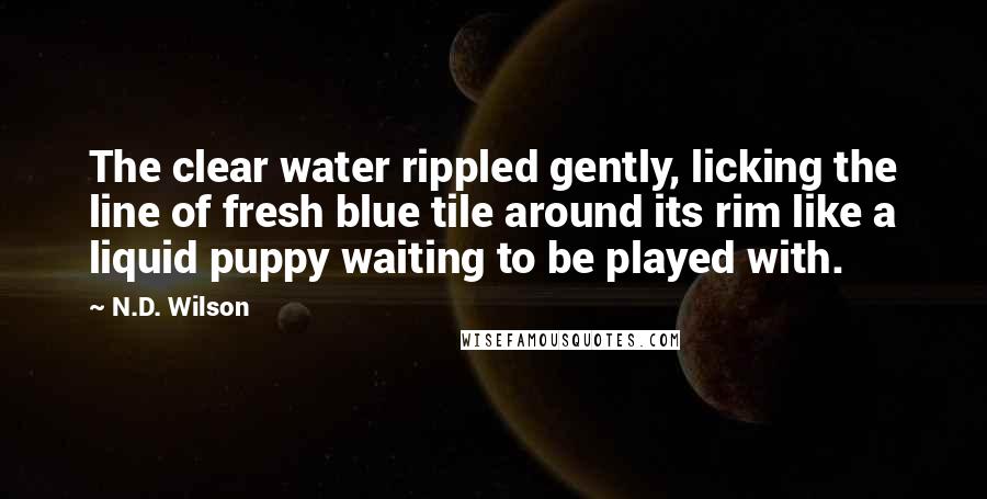 N.D. Wilson Quotes: The clear water rippled gently, licking the line of fresh blue tile around its rim like a liquid puppy waiting to be played with.