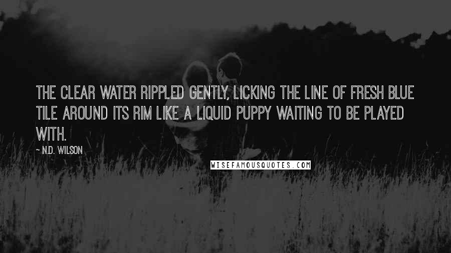 N.D. Wilson Quotes: The clear water rippled gently, licking the line of fresh blue tile around its rim like a liquid puppy waiting to be played with.