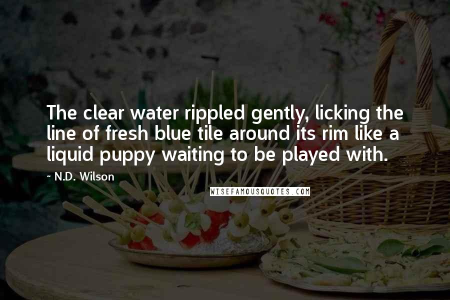 N.D. Wilson Quotes: The clear water rippled gently, licking the line of fresh blue tile around its rim like a liquid puppy waiting to be played with.