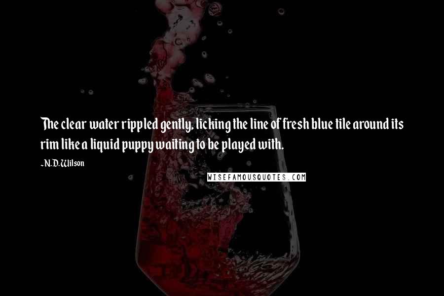 N.D. Wilson Quotes: The clear water rippled gently, licking the line of fresh blue tile around its rim like a liquid puppy waiting to be played with.