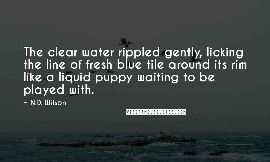 N.D. Wilson Quotes: The clear water rippled gently, licking the line of fresh blue tile around its rim like a liquid puppy waiting to be played with.