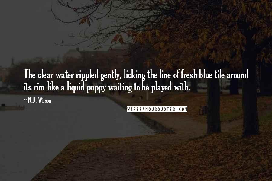 N.D. Wilson Quotes: The clear water rippled gently, licking the line of fresh blue tile around its rim like a liquid puppy waiting to be played with.