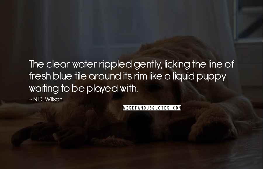 N.D. Wilson Quotes: The clear water rippled gently, licking the line of fresh blue tile around its rim like a liquid puppy waiting to be played with.