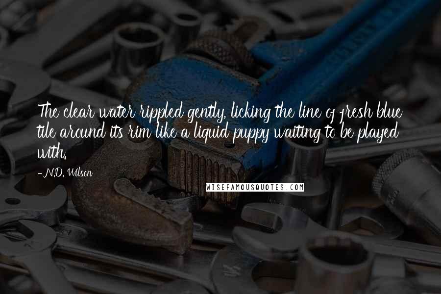 N.D. Wilson Quotes: The clear water rippled gently, licking the line of fresh blue tile around its rim like a liquid puppy waiting to be played with.