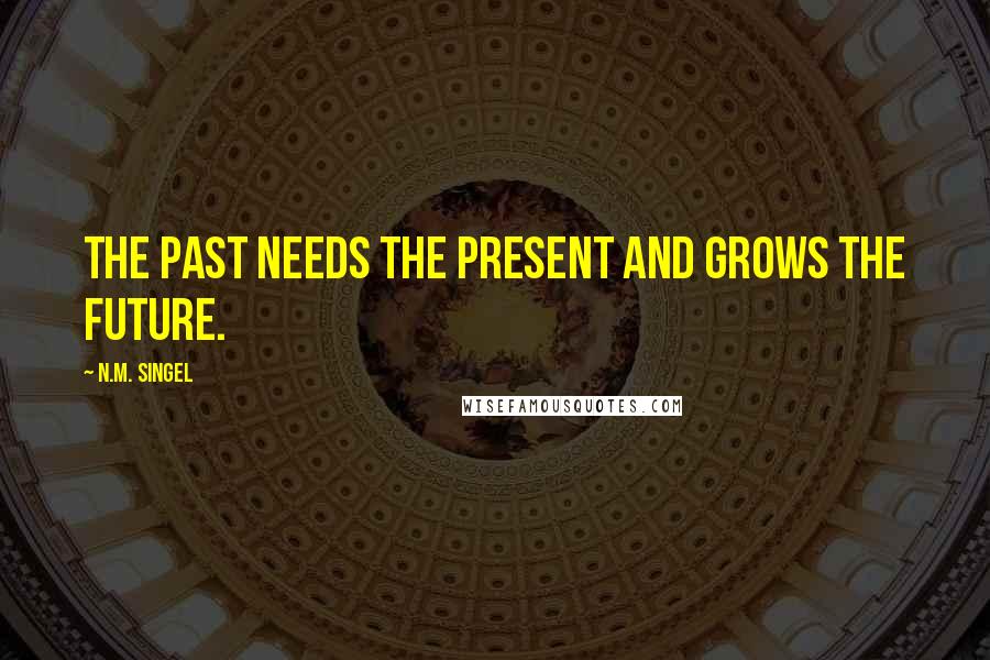N.M. Singel Quotes: The past needs the present and grows the future.
