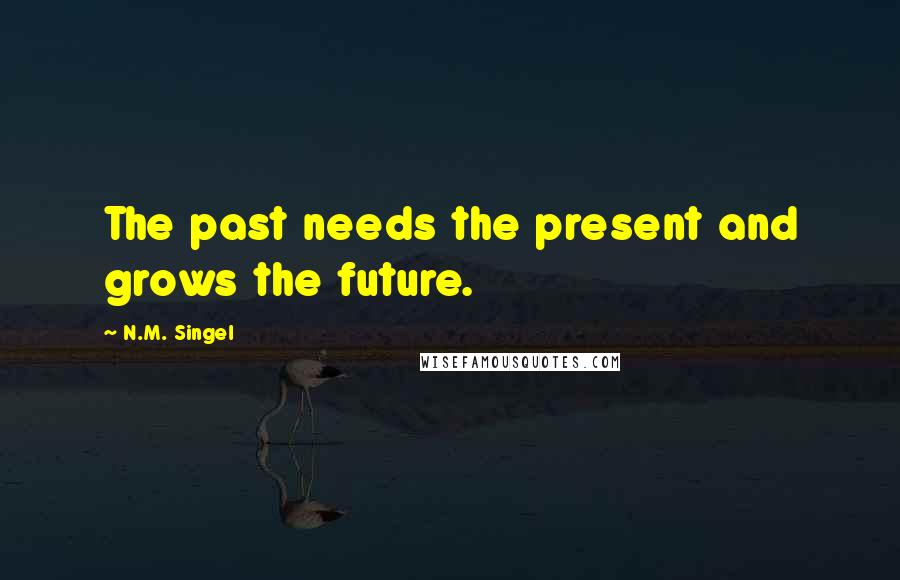 N.M. Singel Quotes: The past needs the present and grows the future.