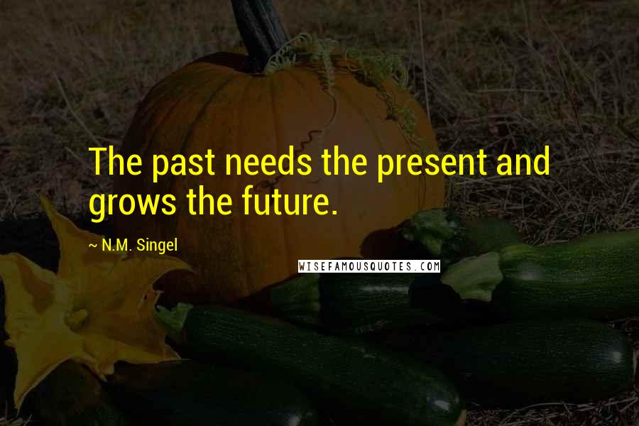 N.M. Singel Quotes: The past needs the present and grows the future.