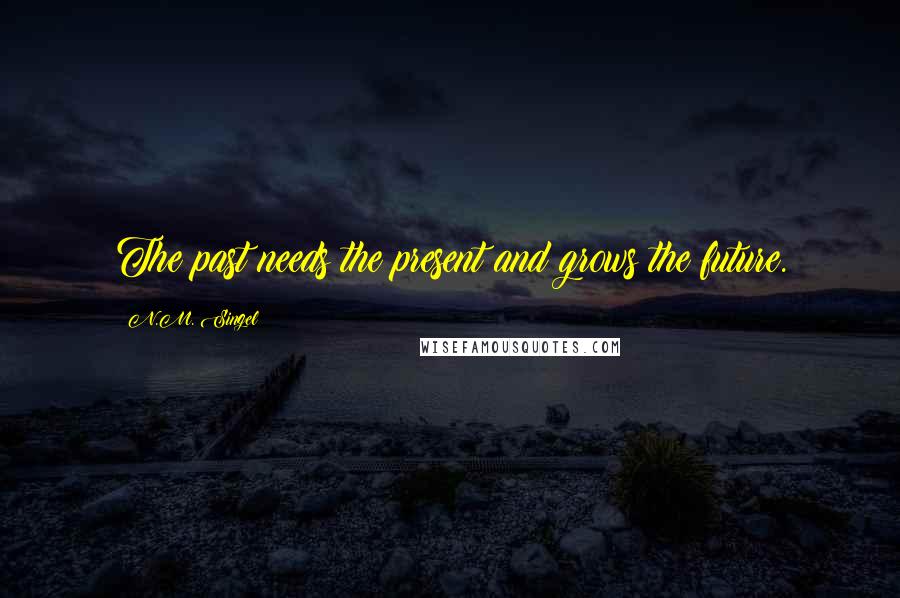 N.M. Singel Quotes: The past needs the present and grows the future.