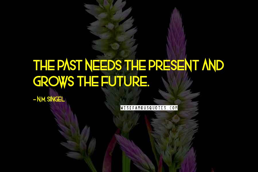 N.M. Singel Quotes: The past needs the present and grows the future.