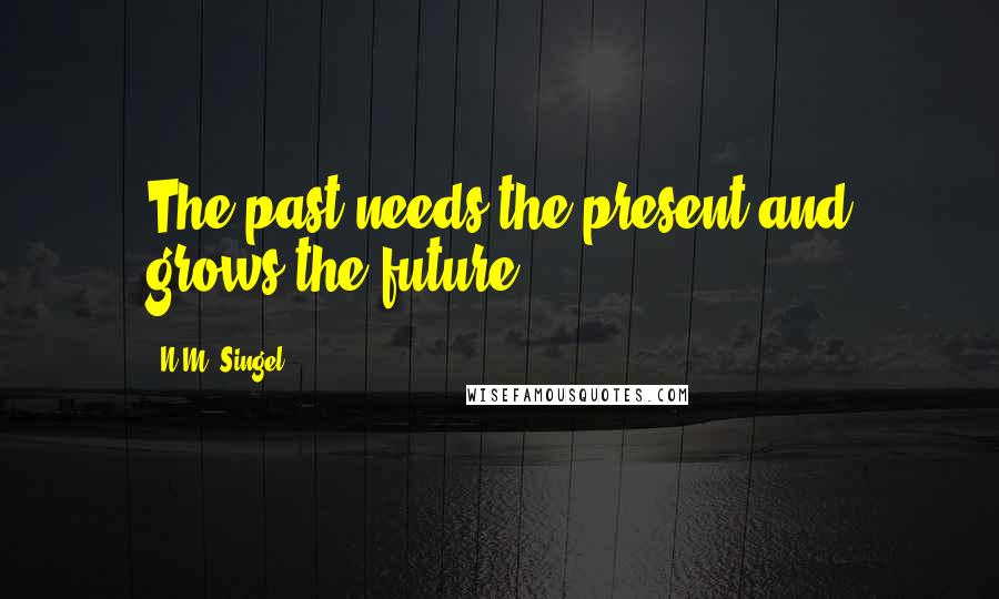 N.M. Singel Quotes: The past needs the present and grows the future.