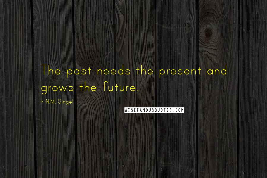 N.M. Singel Quotes: The past needs the present and grows the future.