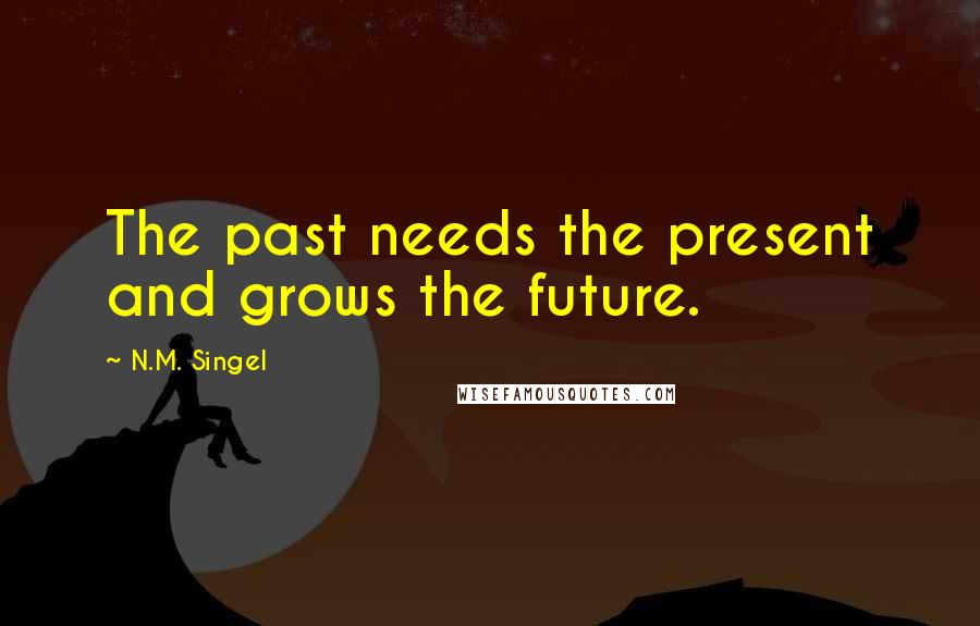 N.M. Singel Quotes: The past needs the present and grows the future.