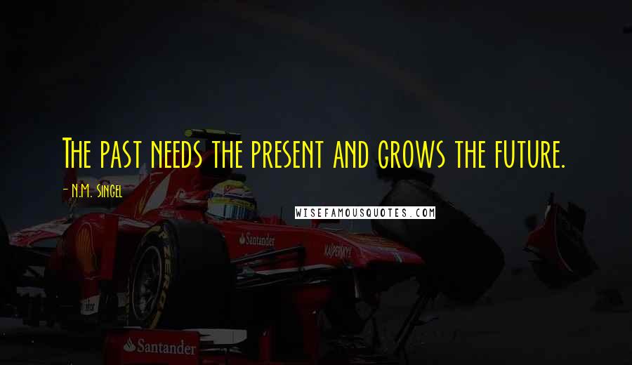 N.M. Singel Quotes: The past needs the present and grows the future.