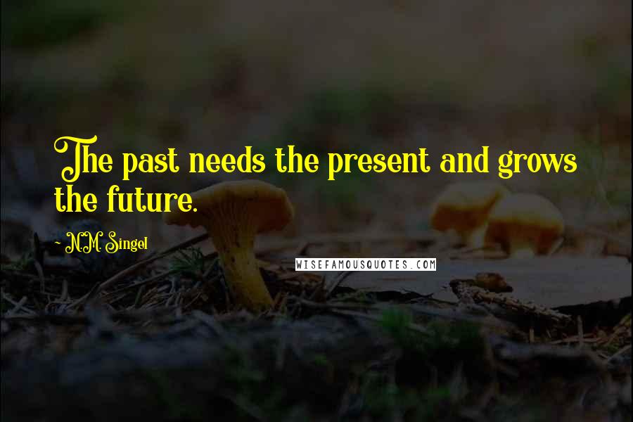 N.M. Singel Quotes: The past needs the present and grows the future.