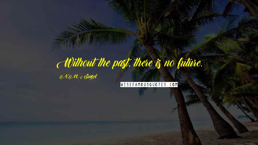 N.M. Singel Quotes: Without the past, there is no future.