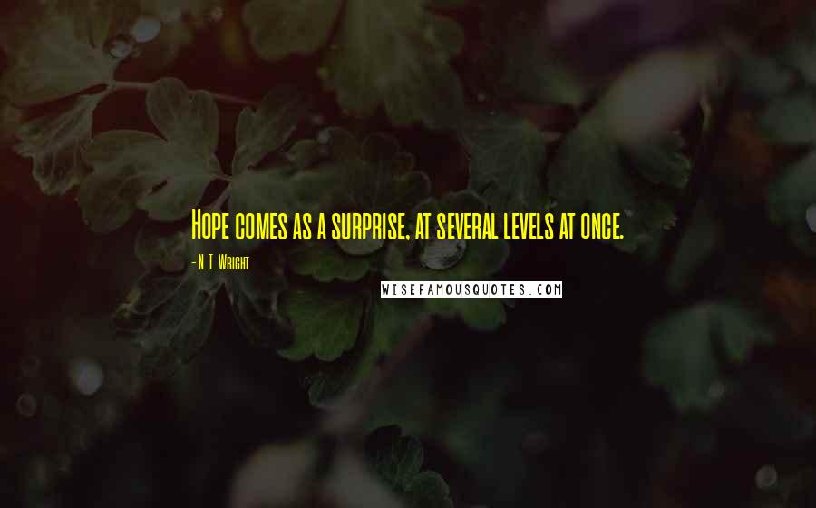 N. T. Wright Quotes: Hope comes as a surprise, at several levels at once.