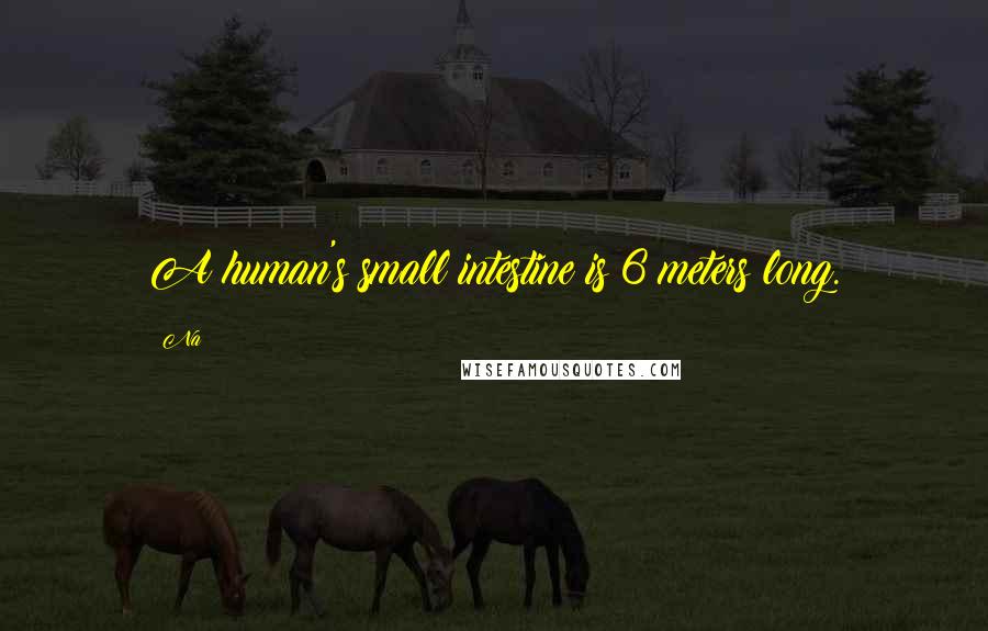 Na Quotes: A human's small intestine is 6 meters long.