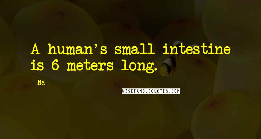 Na Quotes: A human's small intestine is 6 meters long.