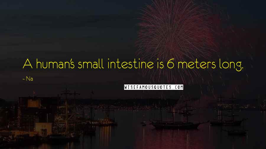 Na Quotes: A human's small intestine is 6 meters long.