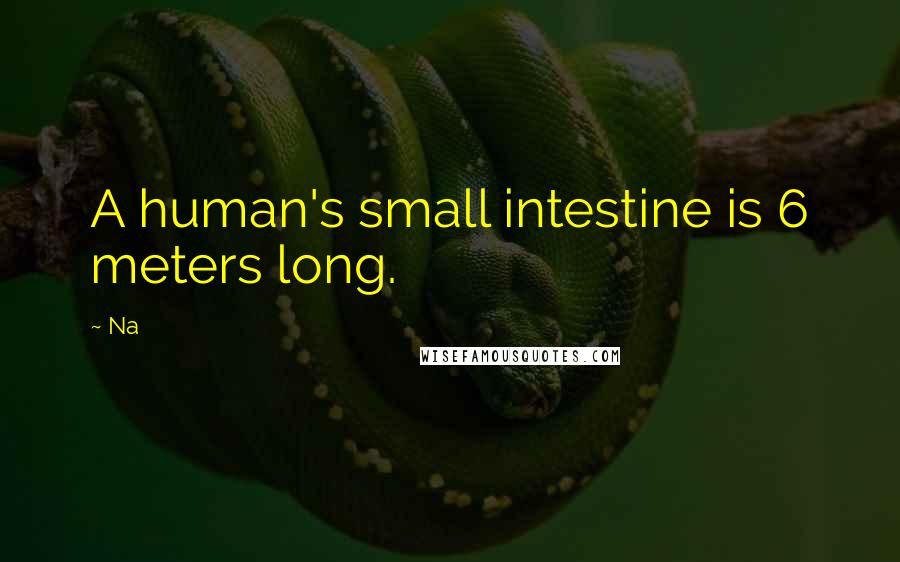 Na Quotes: A human's small intestine is 6 meters long.