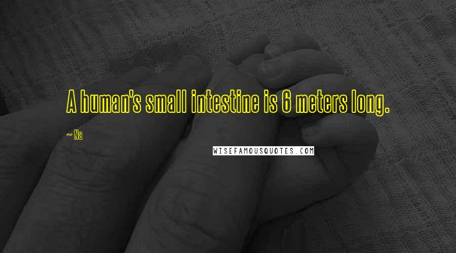 Na Quotes: A human's small intestine is 6 meters long.