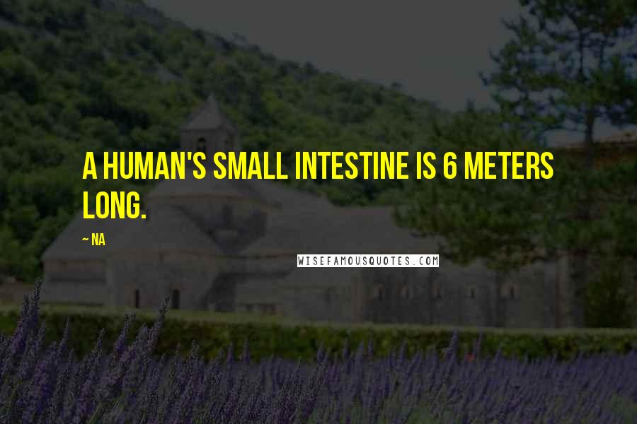 Na Quotes: A human's small intestine is 6 meters long.