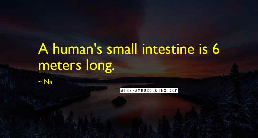 Na Quotes: A human's small intestine is 6 meters long.