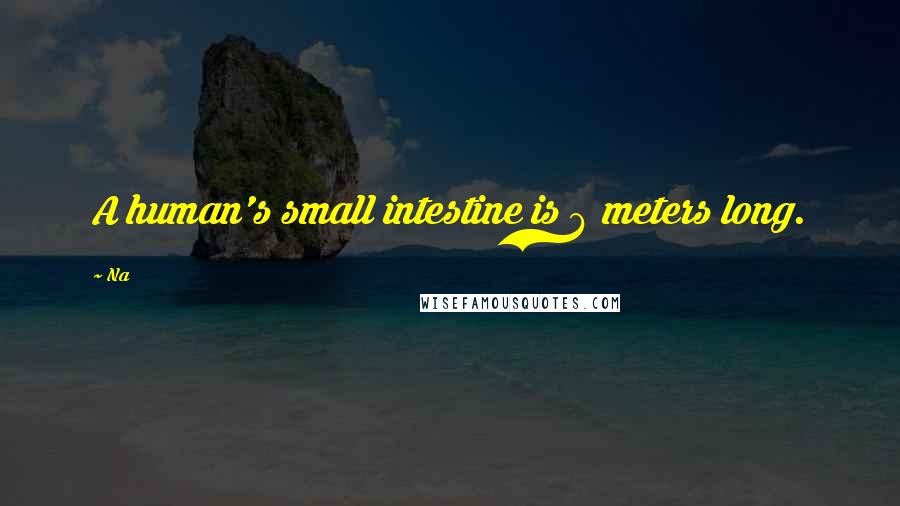 Na Quotes: A human's small intestine is 6 meters long.