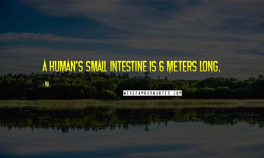 Na Quotes: A human's small intestine is 6 meters long.
