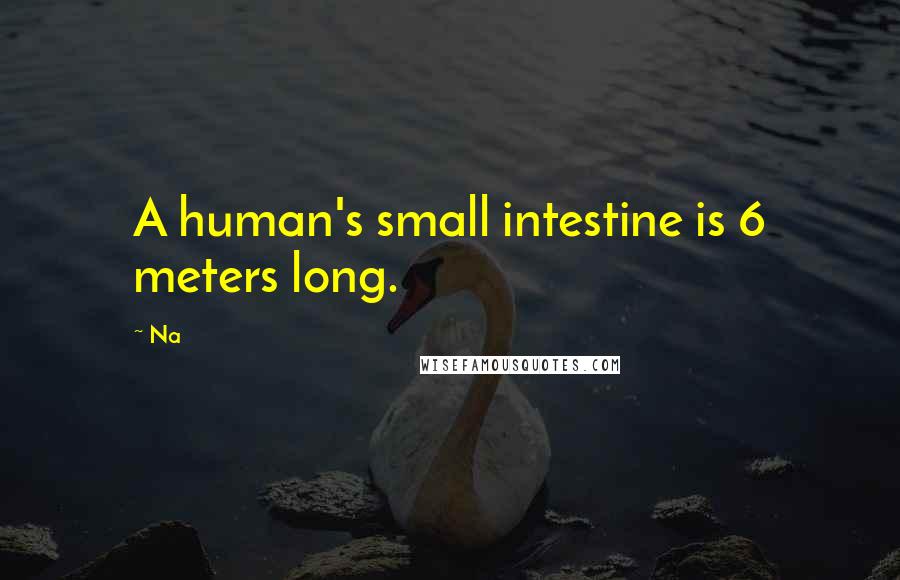 Na Quotes: A human's small intestine is 6 meters long.