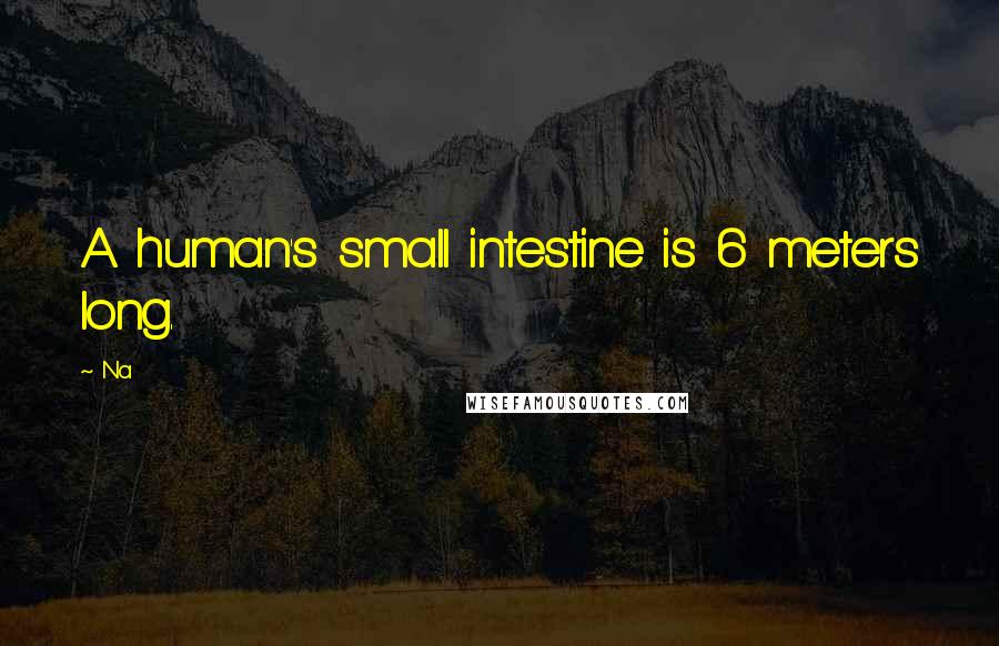 Na Quotes: A human's small intestine is 6 meters long.