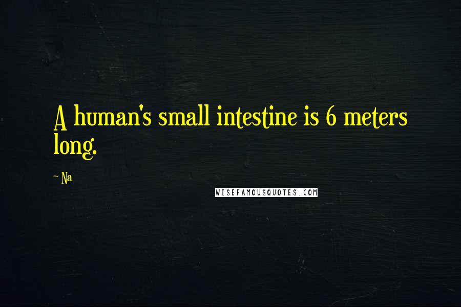 Na Quotes: A human's small intestine is 6 meters long.