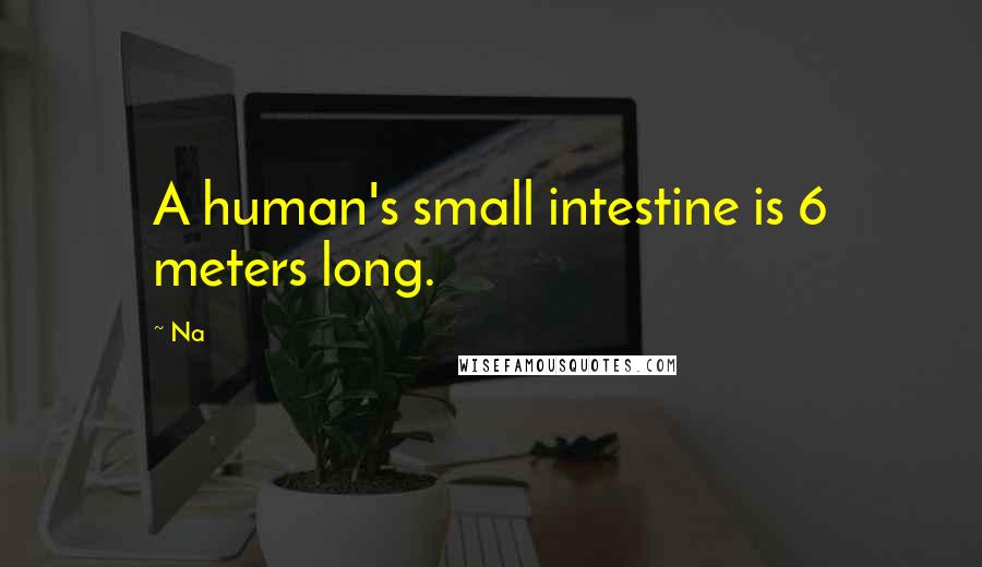 Na Quotes: A human's small intestine is 6 meters long.