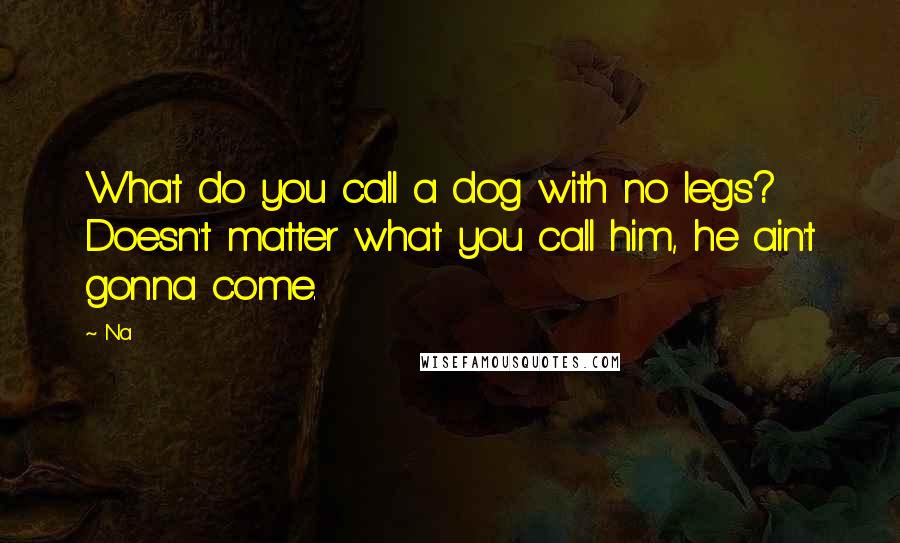 Na Quotes: What do you call a dog with no legs? Doesn't matter what you call him, he ain't gonna come.