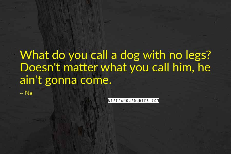 Na Quotes: What do you call a dog with no legs? Doesn't matter what you call him, he ain't gonna come.