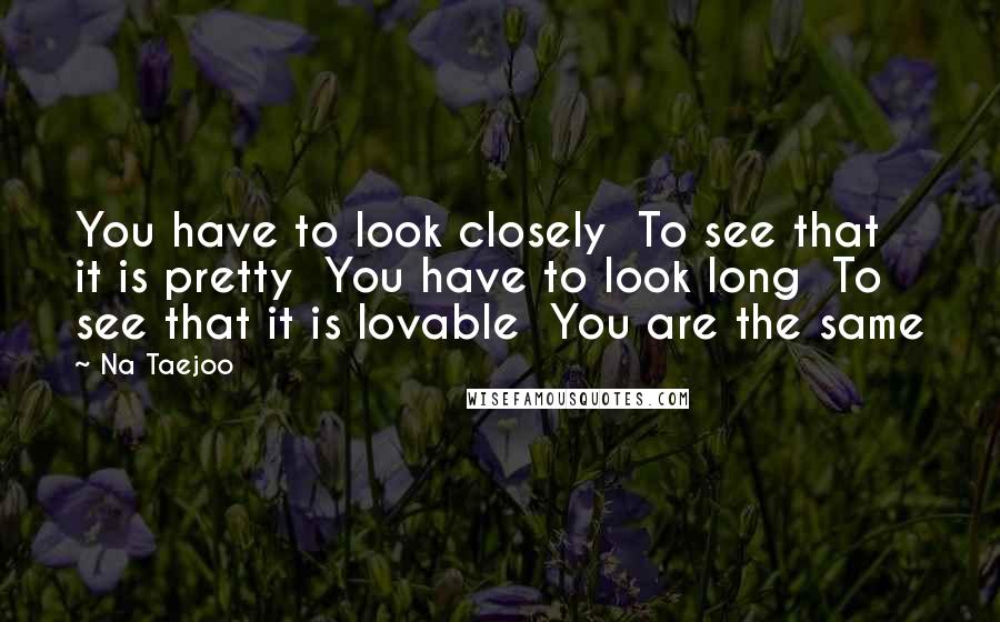 Na Taejoo Quotes: You have to look closely  To see that it is pretty  You have to look long  To see that it is lovable  You are the same