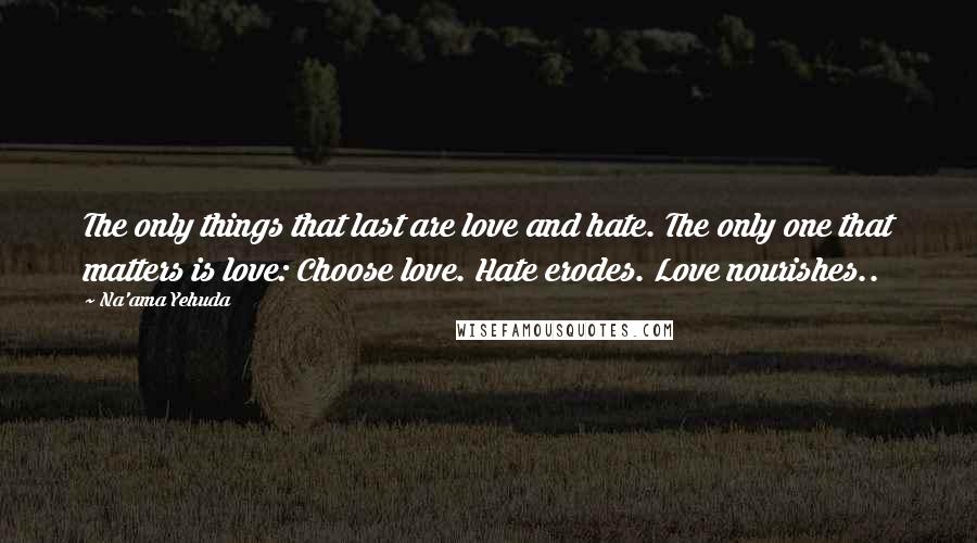 Na'ama Yehuda Quotes: The only things that last are love and hate. The only one that matters is love: Choose love. Hate erodes. Love nourishes..