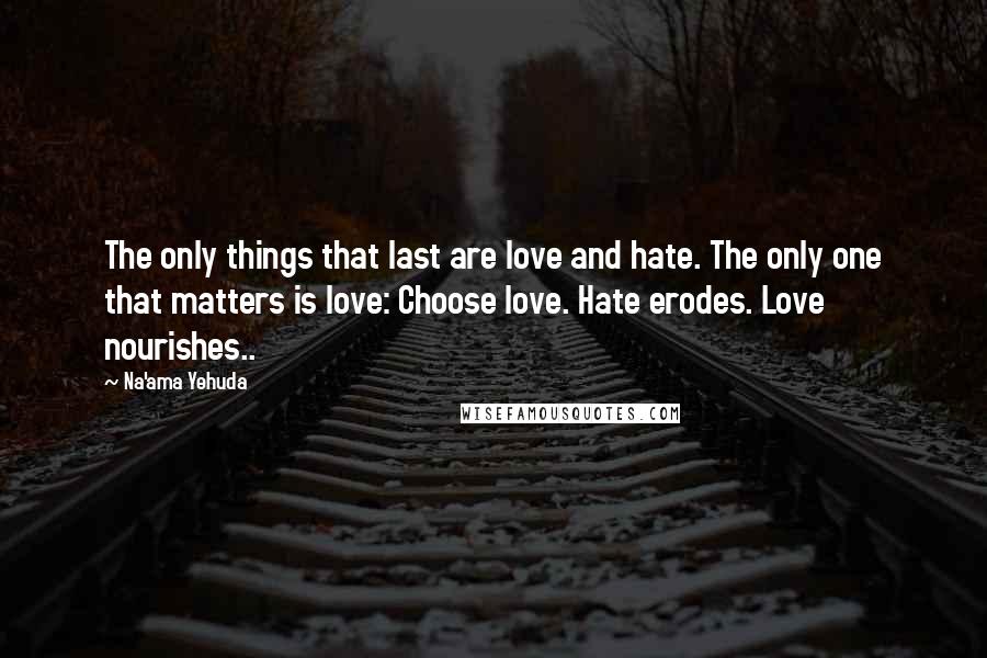 Na'ama Yehuda Quotes: The only things that last are love and hate. The only one that matters is love: Choose love. Hate erodes. Love nourishes..