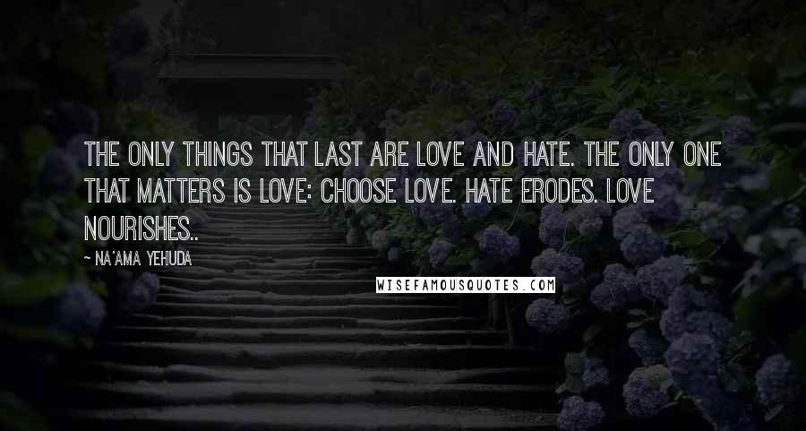 Na'ama Yehuda Quotes: The only things that last are love and hate. The only one that matters is love: Choose love. Hate erodes. Love nourishes..