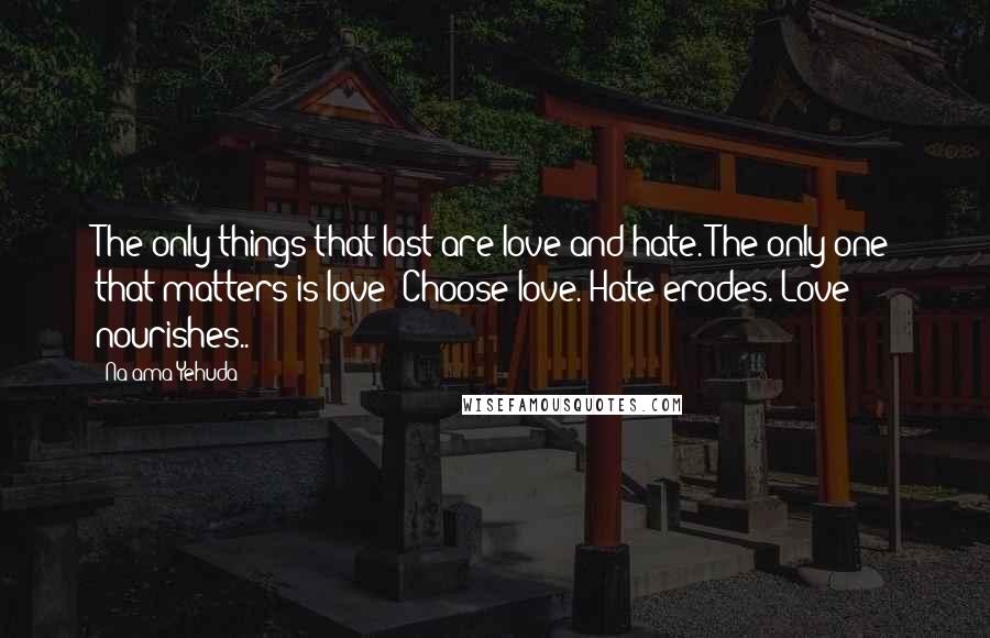 Na'ama Yehuda Quotes: The only things that last are love and hate. The only one that matters is love: Choose love. Hate erodes. Love nourishes..