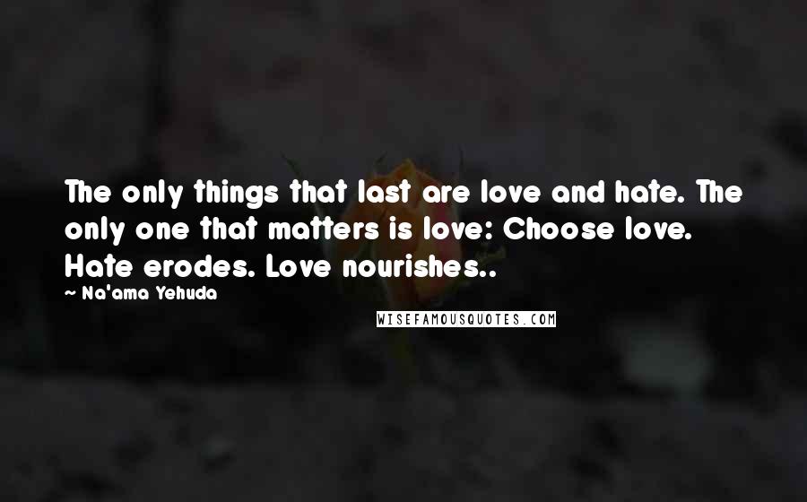 Na'ama Yehuda Quotes: The only things that last are love and hate. The only one that matters is love: Choose love. Hate erodes. Love nourishes..