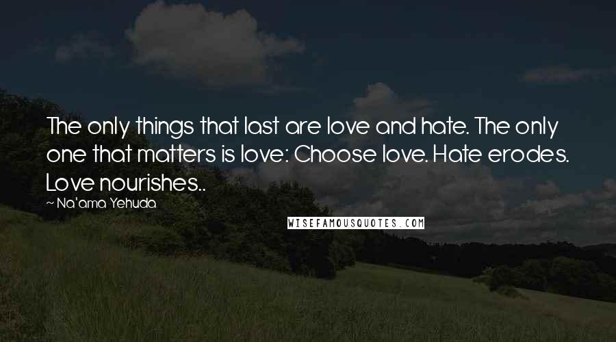 Na'ama Yehuda Quotes: The only things that last are love and hate. The only one that matters is love: Choose love. Hate erodes. Love nourishes..