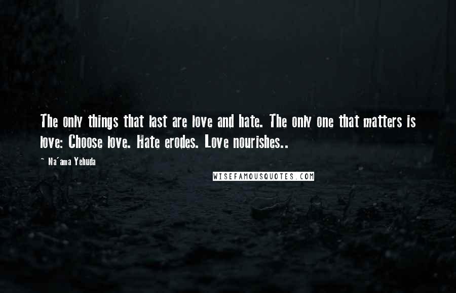 Na'ama Yehuda Quotes: The only things that last are love and hate. The only one that matters is love: Choose love. Hate erodes. Love nourishes..