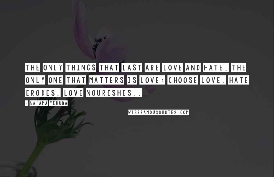 Na'ama Yehuda Quotes: The only things that last are love and hate. The only one that matters is love: Choose love. Hate erodes. Love nourishes..