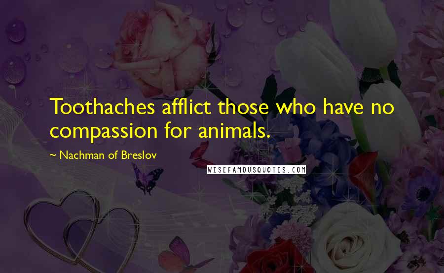 Nachman Of Breslov Quotes: Toothaches afflict those who have no compassion for animals.