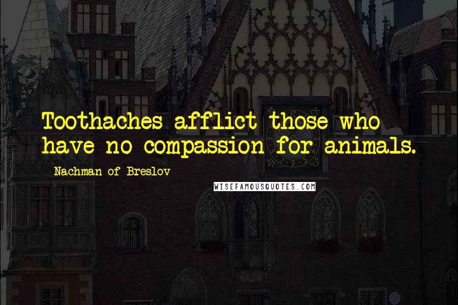 Nachman Of Breslov Quotes: Toothaches afflict those who have no compassion for animals.