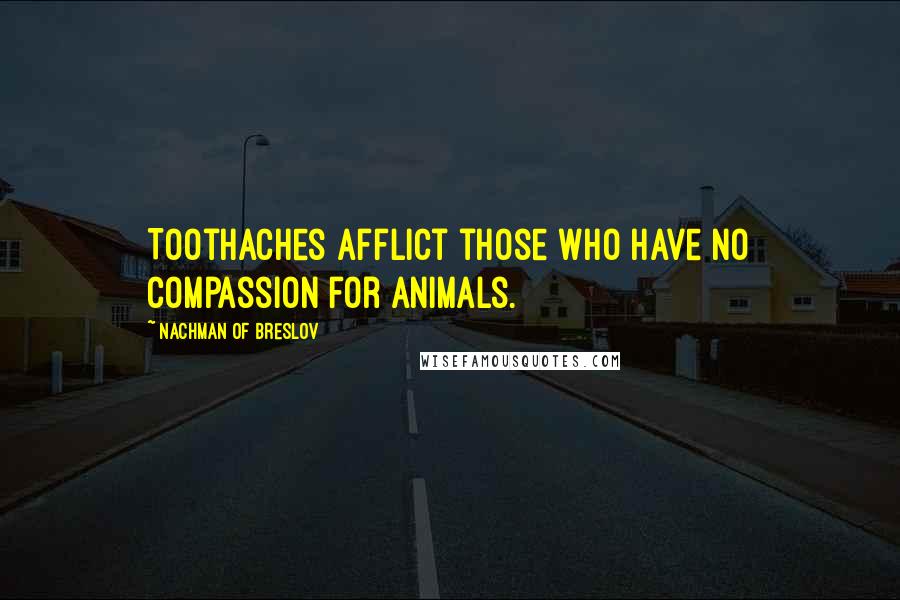 Nachman Of Breslov Quotes: Toothaches afflict those who have no compassion for animals.