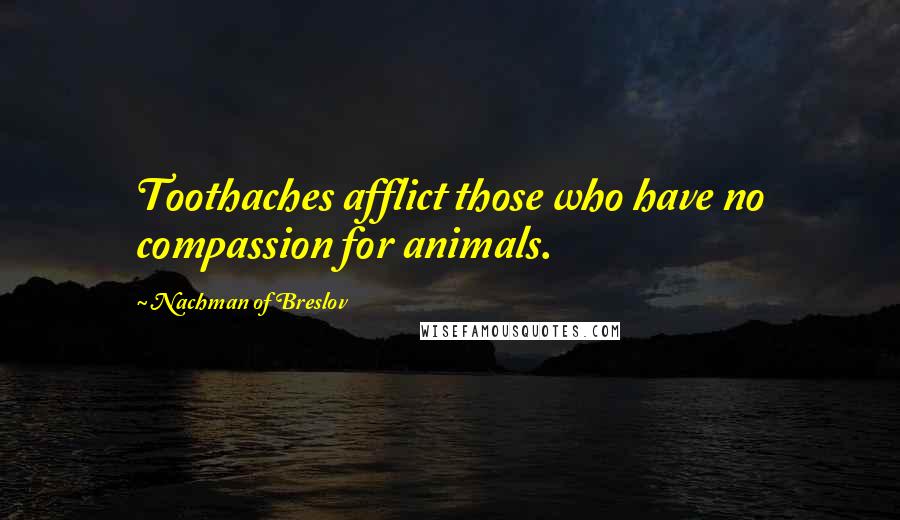 Nachman Of Breslov Quotes: Toothaches afflict those who have no compassion for animals.