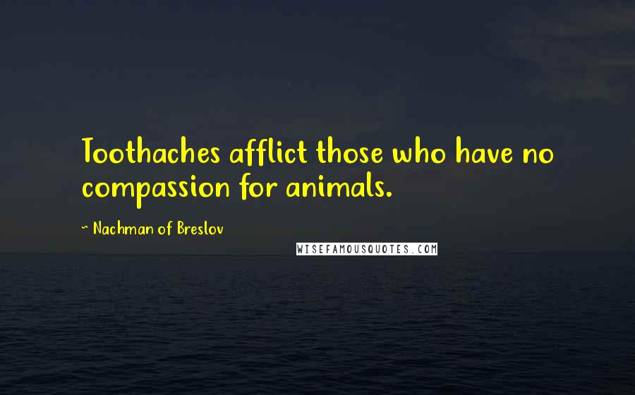 Nachman Of Breslov Quotes: Toothaches afflict those who have no compassion for animals.